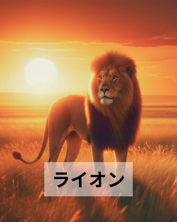 A majestic lion stands in a sunlit savannah at sunset with the word "ライオン" in Katakana displayed below, indicating the Japanese Katakana representation for “lion."
