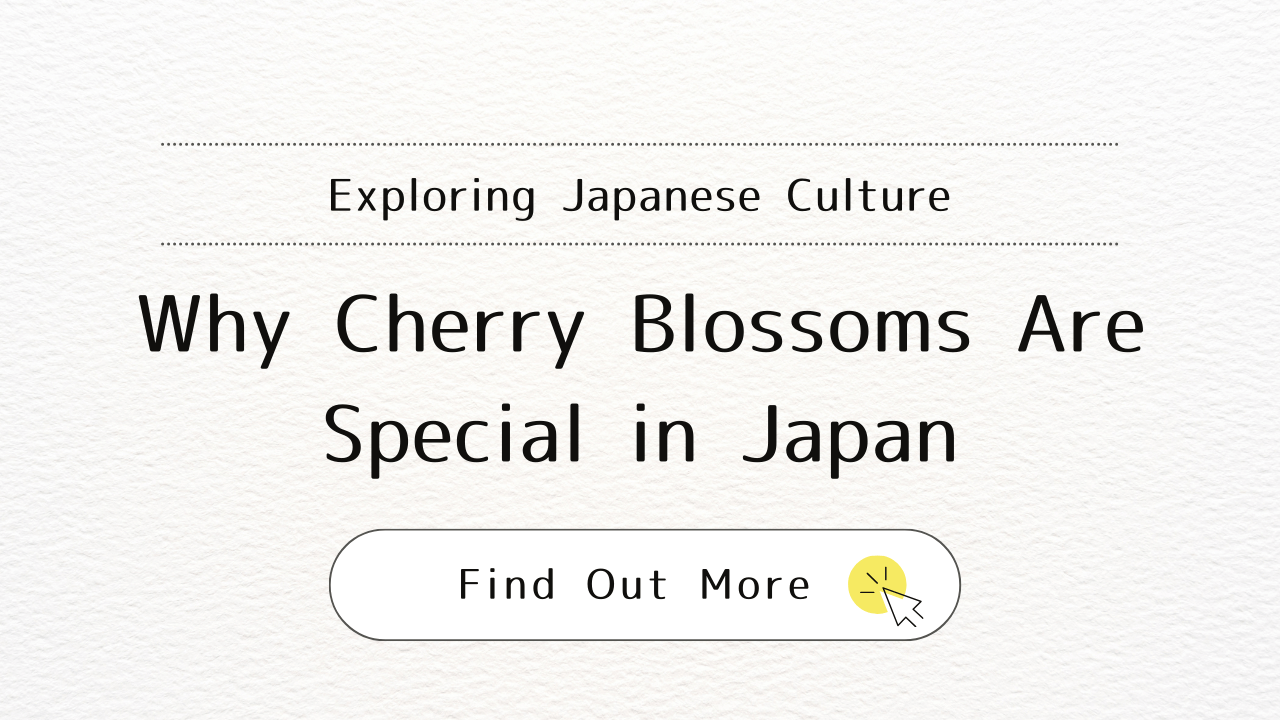 Why Cherry Blossoms Are Special in Japan