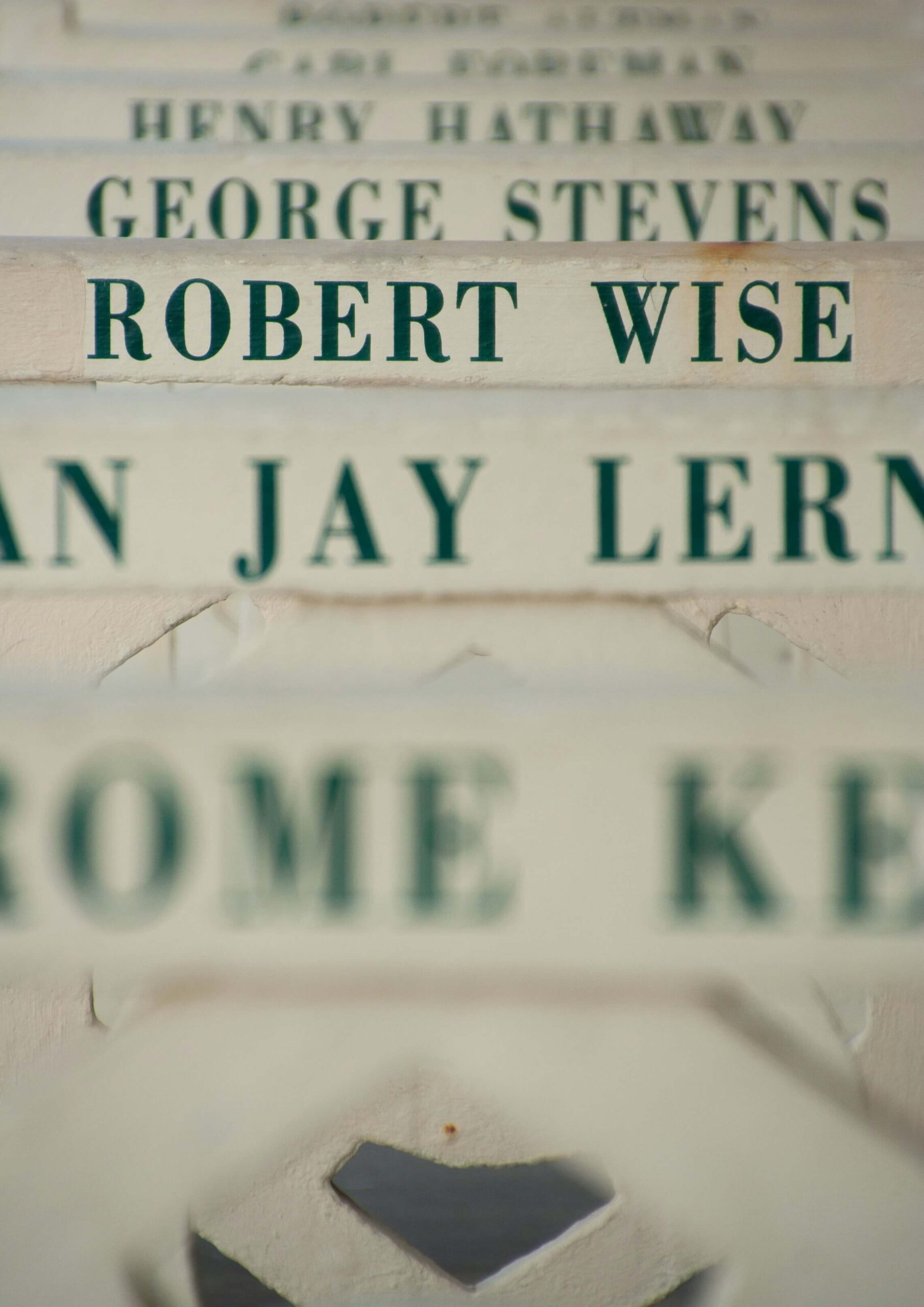 This image shows a series of names painted in green on white surfaces, highlighting the theme of names and their significance in personal identity.